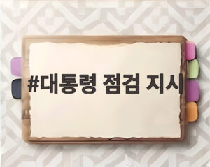 대통령 점검 지시