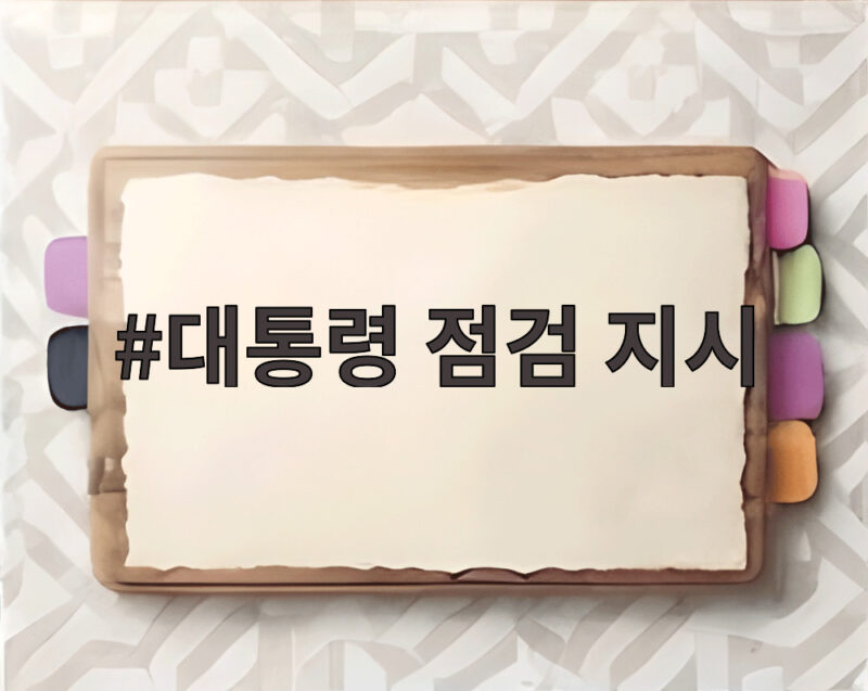 대통령 점검 지시