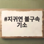 지귀연 불구속 기소 유흥주점 409만원 접대 혐의 재판행 지귀연 불구속 기소