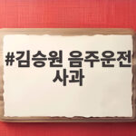 김승원 음주운전 사과 논란 벌금 70만원 선거공보 총정리 김승원 음주운전 사과