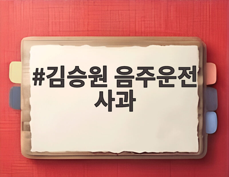 김승원 음주운전 사과 논란 벌금 70만원 선거공보 총정리 1 김승원 음주운전 사과