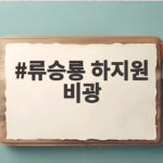 류승룡 하지원 비광 딸을 지키기 위한 강렬한 가족 누아르 류승룡 하지원 비광