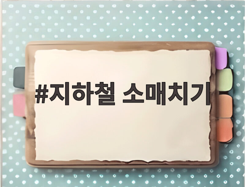 지하철 소매치기