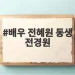배우 전혜원 동생 전경원 부산 스토킹 추락사 관련 논란 정리 배우 전혜원 동생 전경원