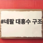 네팔 대홍수 구조 9일 만에 터널에서 두 명이 살아 돌아왔다 네팔 대홍수 구조