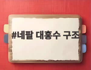 네팔 대홍수 구조
