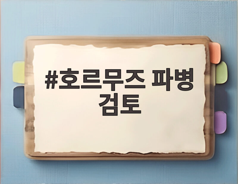호르무즈 파병 검토