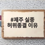 제주 실종 허위종결 이유