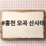 홍천 모곡 산사태로 16명 긴급 대피 추가 붕괴 우려에 현장 통제 홍천 모곡 산사태