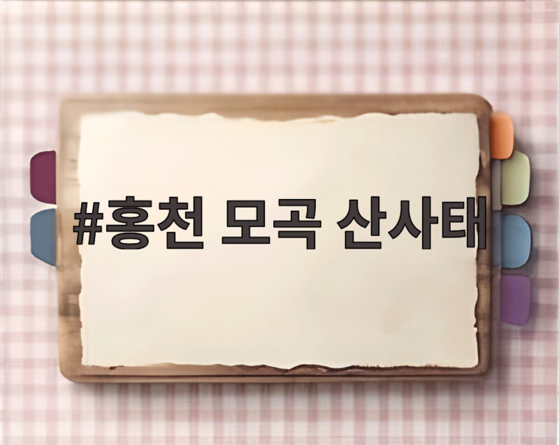 홍천 모곡 산사태로 16명 긴급 대피 추가 붕괴 우려에 현장 통제 1 홍천 모곡 산사태
