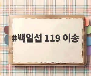백일섭 119 이송