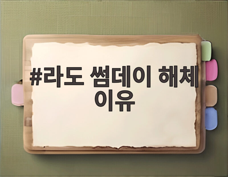 라도 썸데이 해체 이유 17년 만에 밝힌 생존을 위한 선택의 비하인드 1 라도 썸데이 해체 이유