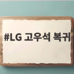 LG 고우석 복귀 3년 만의 세이브로 증명한 마무리 존재감 LG 고우석 복귀