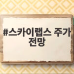 스카이랩스 주가 전망 상장 후 투자 포인트와 리스크 확인 스카이랩스 주가 전망