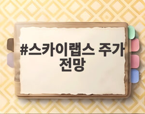 스카이랩스 주가 전망