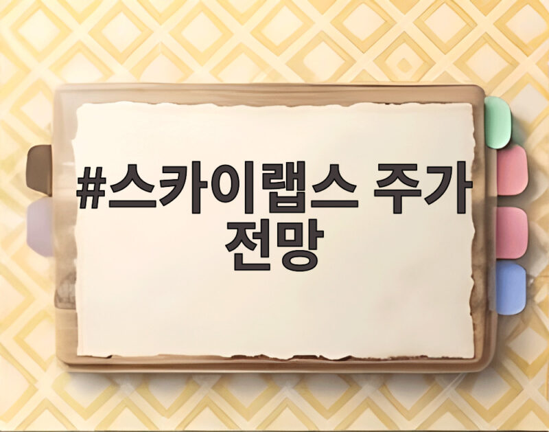 스카이랩스 주가 전망 상장 후 투자 포인트와 리스크 확인 1 스카이랩스 주가 전망