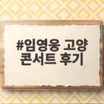 임영웅 고양 콘서트 후기 현장 분위기와 관람 팁 총정리 임영웅 고양 콘서트 후기