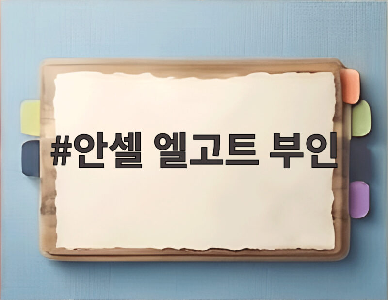 안셀 엘고트 부인 일본인 미오나 때문일까 서울 유카타 논란 1 안셀 엘고트 부인