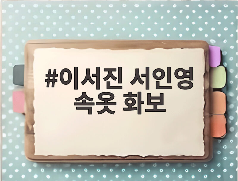 이서진 서인영 속옷 화보 비서진 예고편 논란까지 총정리 1 이서진 서인영 속옷 화보