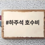 하주석 호수비