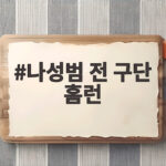 나성범 전 구단 홈런, 8개 구단 상대 홈런으로 대기록 완성하고 30홈런 보인다 나성범 전 구단 홈런