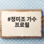 정미조 가수 프로필, 데뷔 50년 넘게 노래와 그림을 잇다 정미조 가수 프로필