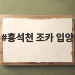 홍석천 조카 입양