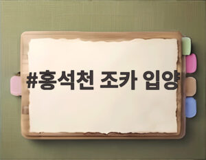 홍석천 조카 입양