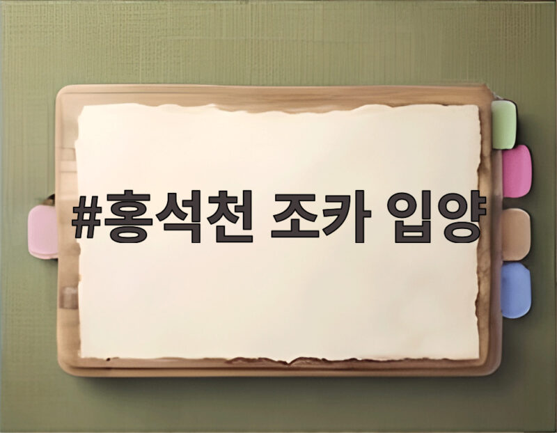 홍석천 조카 입양 재산으로 설득했다는 사연 모두가 놀랐다 1 홍석천 조카 입양