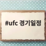 ufc 경기일정