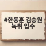 한동훈 김승원 녹취 입수 경위 두고 민주당 전용기 의원이 밝혀라고 한 이유는 한동훈 김승원 녹취 입수