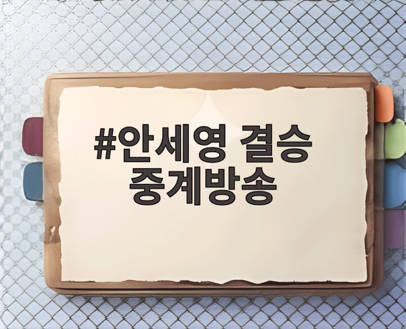 안세영 결승 중계방송
