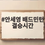 안세영 배드민턴 결승시간