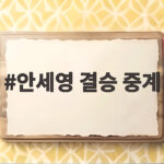 안세영 결승 중계
