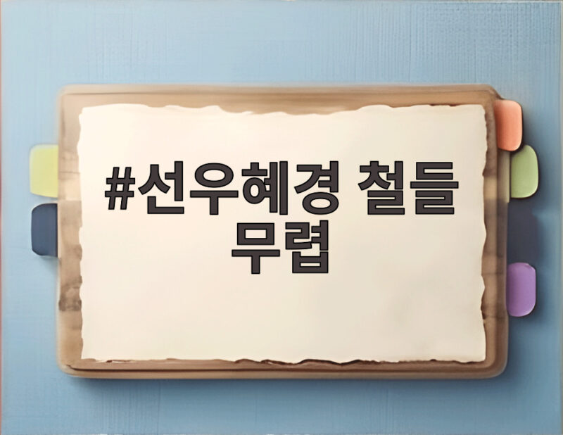 선우혜경 철들 무렵 다시 찾은 엄마의 이름 그리고 아들의 눈물 1 선우혜경 철들 무렵