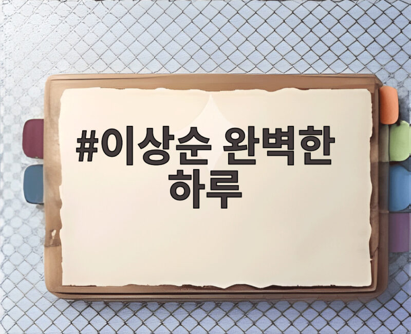 이상순 완벽한 하루