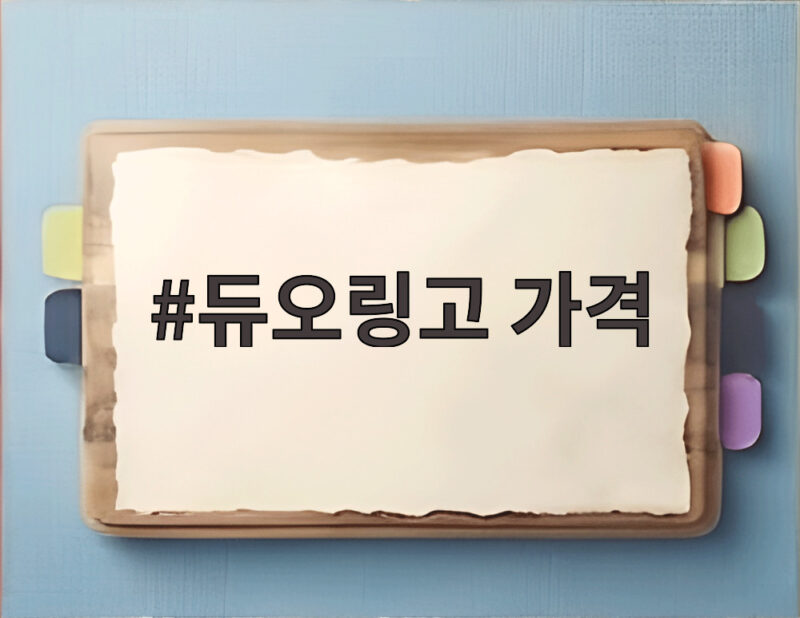 듀오링고 가격 2026년 기준 이용권 비교와 구독 꿀팁 정리 1 듀오링고 가격