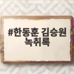 한동훈 김승원 녹취록