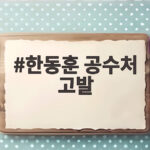 한동훈 공수처 고발 사건 녹취 입수 경위와 정치적 전망 한동훈 공수처 고발