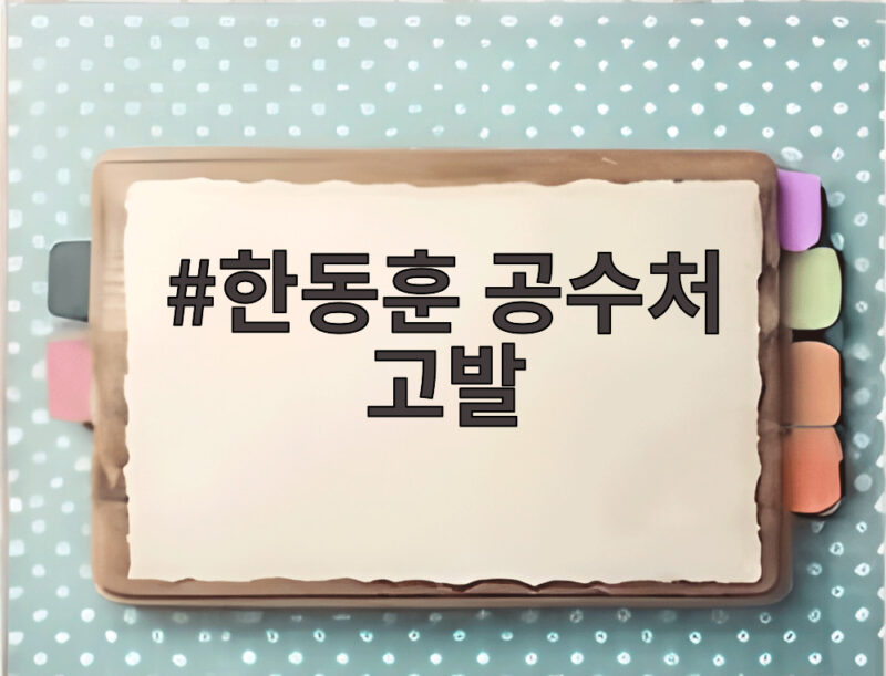 한동훈 공수처 고발