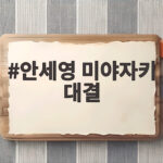 안세영 미야자키 대결