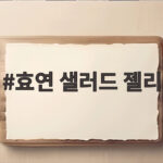 전참시에서 공개된 효연 샐러드 젤리 차 안 간식 정체와 후기 궁금하다면 효연 샐러드 젤리