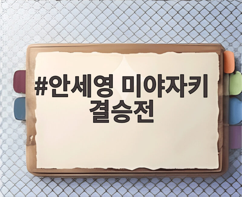 안세영 미야자키 결승전 완승으로 중국 마스터스 3연패 달성 1 안세영 미야자키 결승전