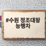 수원 정조대왕 능행차 10월 4일 만나요 교통 통제 시간 미리 확인 수원 정조대왕 능행차
