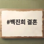 백진희 결혼 소식 비연예인과 내년 1월 서울 호텔 웨딩마치 백진희 결혼