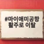 마이애미공항 활주로 이탈 아마존 화물기 사고로 5명 사망 충격 마이애미공항 활주로 이탈