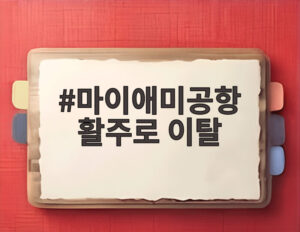 마이애미공항 활주로 이탈