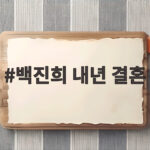 백진희 내년 결혼 소식과 예비 신랑 직업 그리고 앞으로 활동 백진희 내년 결혼