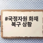 국정자원 화재 복구 상황 감사 결과로 드러난 부실과 앞으로의 개선 방안 국정자원 화재 복구 상황