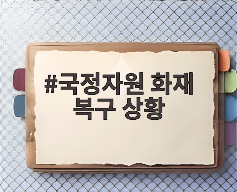 국정자원 화재 복구 상황 감사 결과로 드러난 부실과 앞으로의 개선 방안 1 국정자원 화재 복구 상황